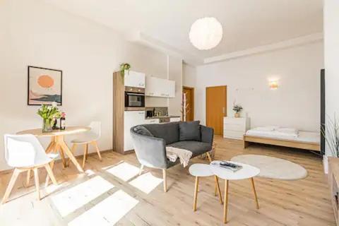 Ruhige Und Stilvolle Wohnung Am Clara-Zetkin-Park ライプツィヒ エクステリア 写真
