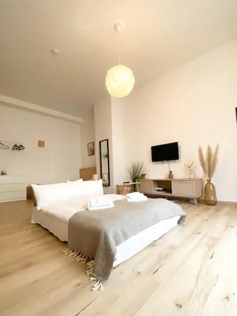 Ruhige Und Stilvolle Wohnung Am Clara-Zetkin-Park ライプツィヒ エクステリア 写真